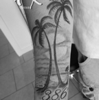Palm trees 386